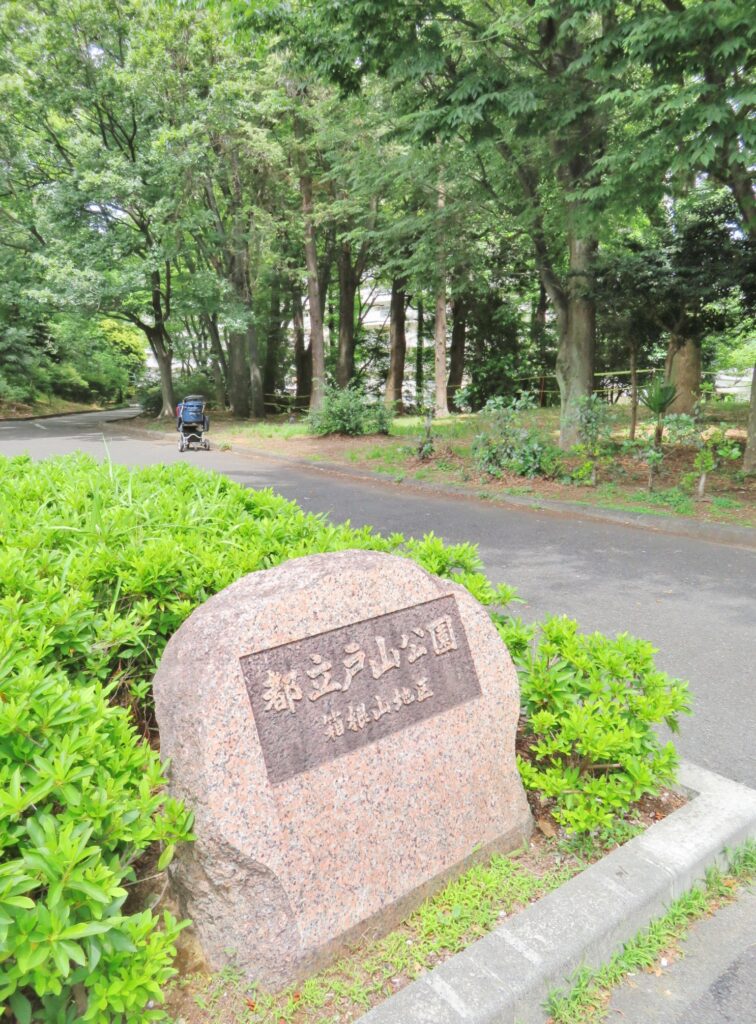 アムール戸山 301号室 写真11
