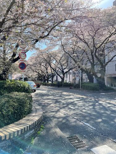 ホーユウパレス相模原南 1 02号室 写真8